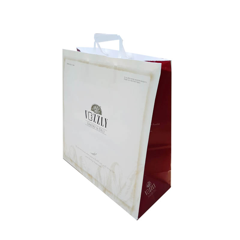 자동백 납작끈/S0568